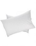 Sheraton Sheradown Standard Pillow Inner Pair And Pillow Protector Pair