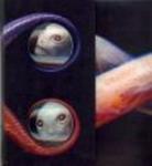 Tool: Vicarious