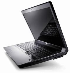 dell n5010 berry