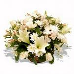 Flowers.co.za Peace