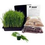 Wheatgrass Kit