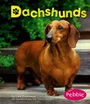 Dachshunds (Pebble Books)