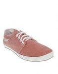 Globe  Belly Plimsoll Sneakers  Red
