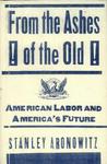 Basic Books From The Ashes Of The Old American Labor And America's Future