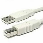 Unique Type A/B 1.8m USB 2.0 Cable