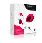 Softline Pastel Payroll 50 Employees