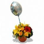 Flowers.co.za Joy