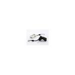Bone Collection Bone Reader II Micro SD M2 Card Reader