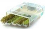 EasyGreen Sprouter