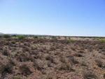 Farm In Upington Northern Cape