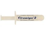 Arctic Silver ASTA-7G Premium Silver Thermal Adhesive