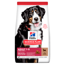 Hill's Advanced Fitness Lamb & Rice Large Adult Dog Food - 12KG
