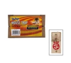 Trap Mouse Wooden - Pack Of 24