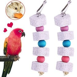 Bird Beak Trim Colorful Calcium Stone Parrot Pet Chew Long String Cage Toy  with Bell, Chinchilla Grinding Teeth Claw Shape Lava Block for Conure