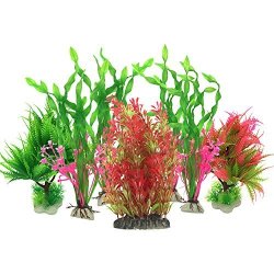 large aquarium plants