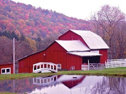 Heritage Puzzle Inc. Red Barn Reflection Jigsaw Puzzle 550-PIECE