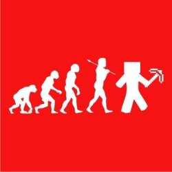 Minecraft Evolution Womens T-Shirt Red Medium