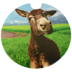 Licence Disk Holder - Adorable Mule In Green Field