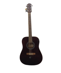 Palmer PD21-PK1-WB WR Acoustic Guitar