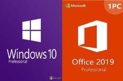 Value Upgrade Kit Microsoft Office Professional 2019 Windows 10 Professional
