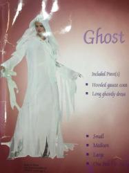 Ghost Lady Costume