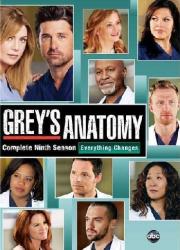 Grey's Anatomy - Season 9 Dvd