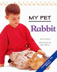 Rabbit My Pet