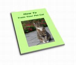 How To Train Your Pet Cat - Ebook Delivered Free By Email
