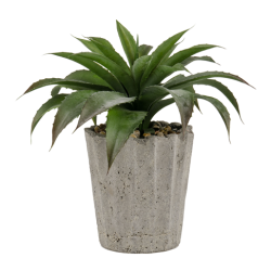 @home Potted Plant Edgy Leaf 37cm