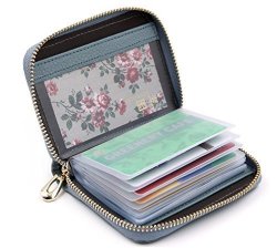 Women's Credit Card Case Wallet With 2 Id Window And Zipper Card Holder Purse Blue