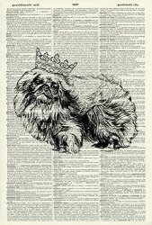 Dog Art Print - Whimsical Art Print - Princess Pekingese Print - Pet Vintage Dictionary Art Print - Illustration - Wall Hanging - Book