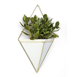 Umbra Trigg Hanging Planter Vase & Geometric Wall Decor Container - Great For Succulent Plants Air Plant MINI Cactus Faux Plants And More White Ceramic brass