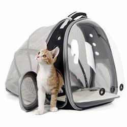 cat transparent backpack