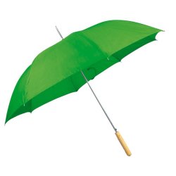 Automatic Walking-stick Umbrella - Green