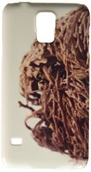 Echte Rose Von Jericho Anastatica Hierochuntica Wuestenrose Cell Phone Cover Case Samsung S5