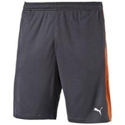 Dry Essential 8" Shorts - L