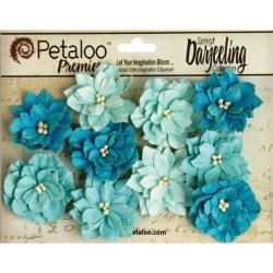 Petaloo Darjeeling Teastained Dahlia Flowers Teal 10 PACK