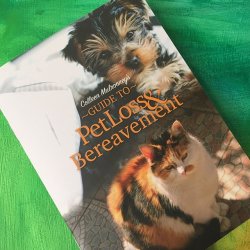Colleen Mulrooney's Guide To Pet Loss And Bereavement