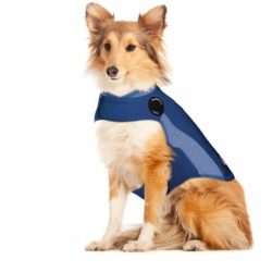 Polo Thundershirt Dog Anxiety Shirt - Blue Medium Waggs Pet Shop