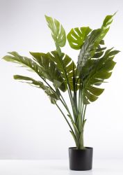 Artificial Premium Monsteria Plant - 1000MM