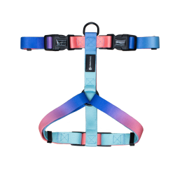 Missy Harness - Dog Harness - Small