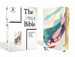 The Jesus Bible Artist Edition Niv Leathersoft Multi-color teal Comfort Print