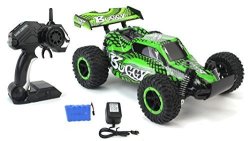cheetah king rc car