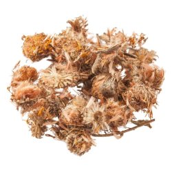 Dried Arnica Mexicana Flowers - Bulk - 1KG