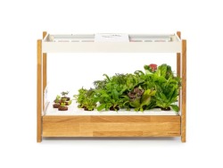 Smart Garden 25 Indoor Gardening Kit White
