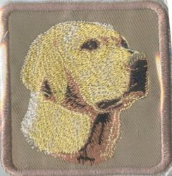 Embroidered Sew On Khaki Yellow Labrador