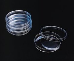 Petri Dish 90MM Plastic Box 500 Sterile