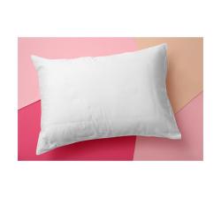 Standard Twin Pack Pillows