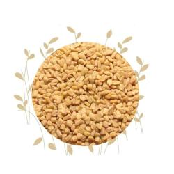 Dried Fenugreek Seed Trigonella Foenum-graecum - 100G
