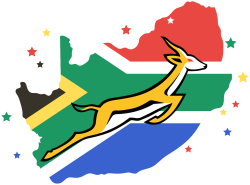 Springboks Logo With Sa Flag Rugby Decal
